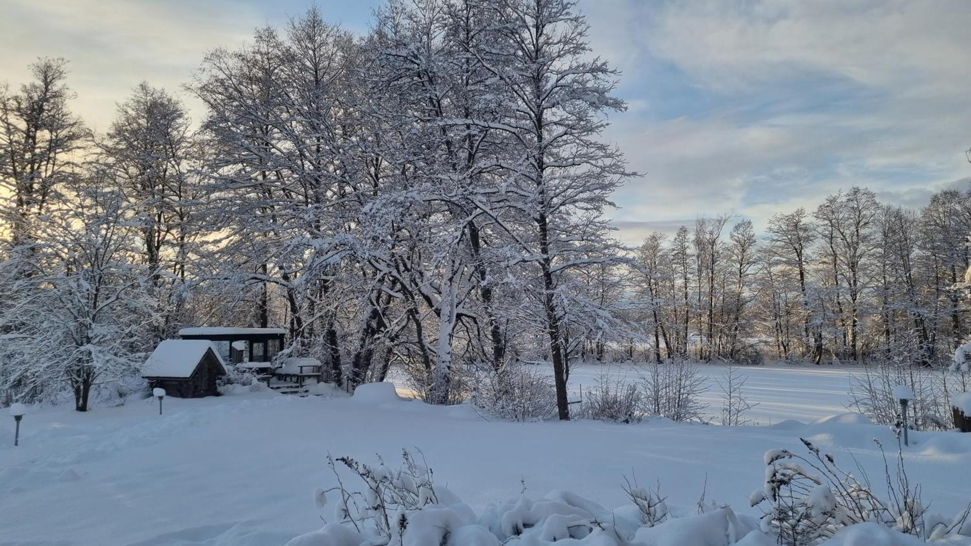 Villa Kivikoski Pyhtaa المظهر الخارجي الصورة